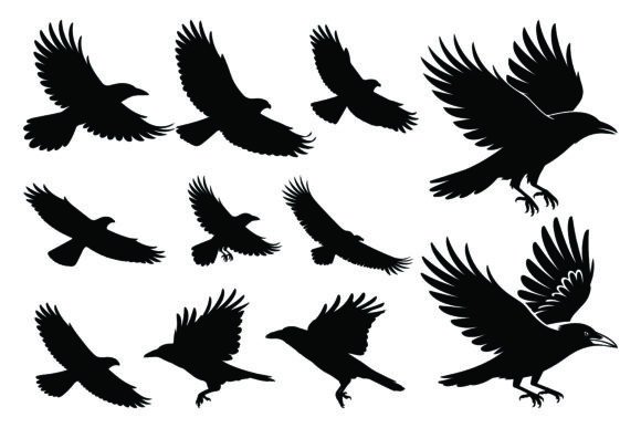 Silhouette Eagles Flying Birds Bundle: Dynamic Assets